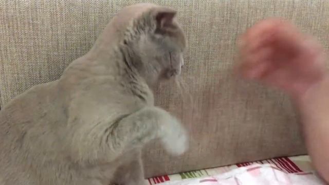 «Здравствуй, Ника!» смотреть онлайн