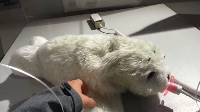 Пушистый робот смотреть онлайн
