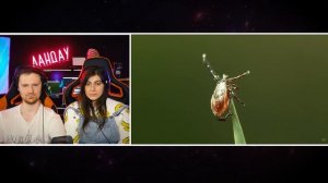 Ужасы Острова Гигантских Насекомых | РЕАКЦИЯ на Звездного Капитана