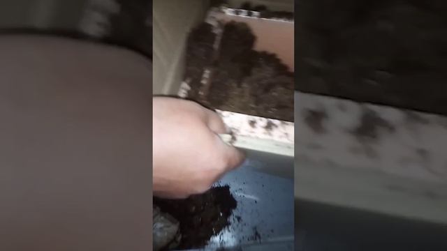 Посылка в Молдову доставлена. смотреть онлайн