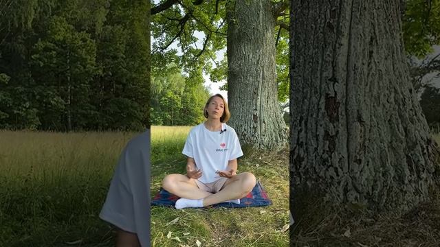 МЕДИТАЦИЯ ДЛЯ ЗАЩИТЫ ИЗ СЕРДЦА. смотреть онлайн