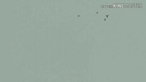 17 декабря 2019 г. МОИ АНДИЖАНЦЫ ТАНЦУЮТ, андижанские голуби, узбекские голуби