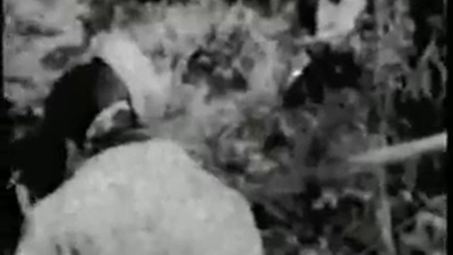 Rape Of Nanking  Part I Atrocities In Asia Nanjing Massacre