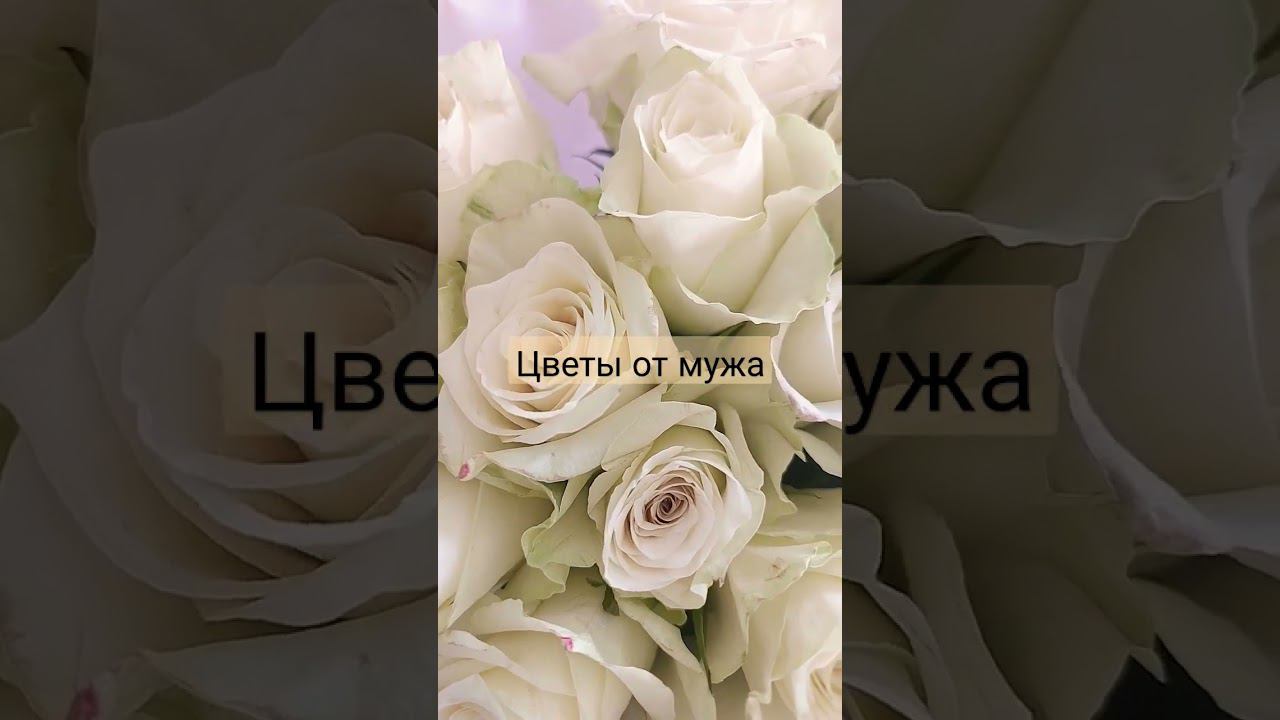 Так началось моё утро