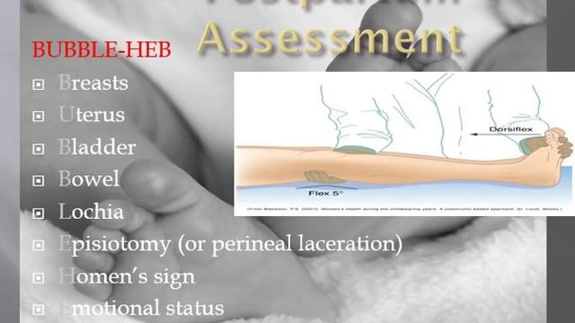 The Post Partum period Chapters 18,19, & 20 смотреть онлайн