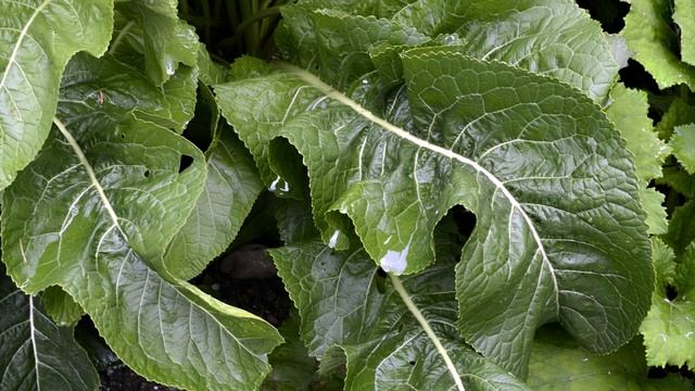 Стройка Вдохновение