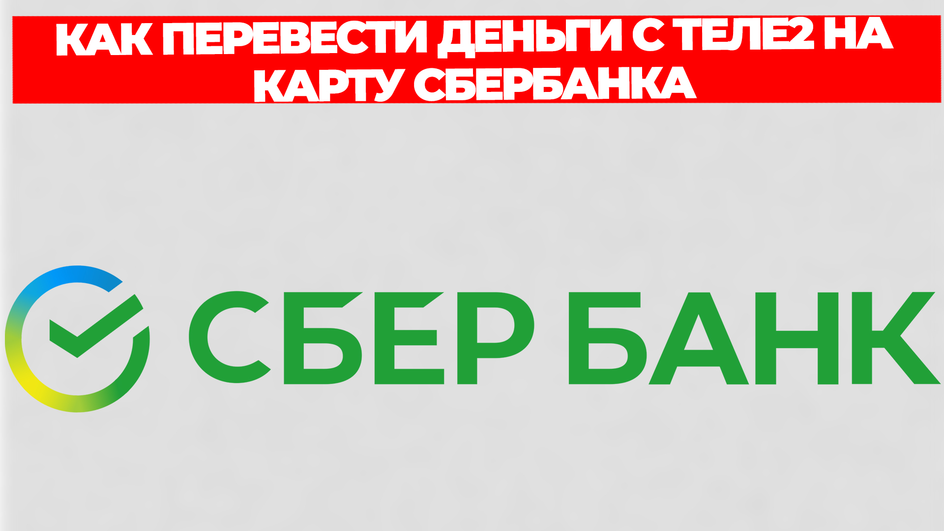 Всезнающий Енот