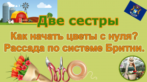 Ферма «Две сестры». Система класса эконом выращивания рассады дома. 7-я серия.
