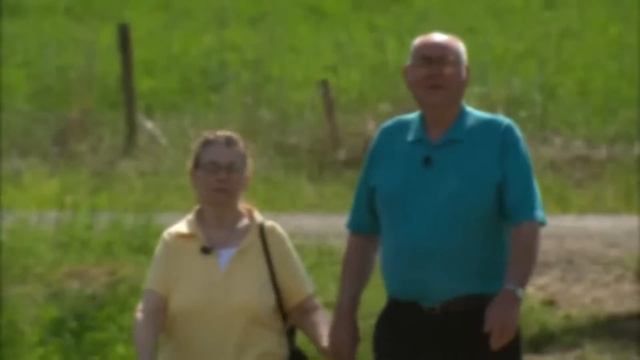 Donnie And Joe Emerson : Dreamin' Wild