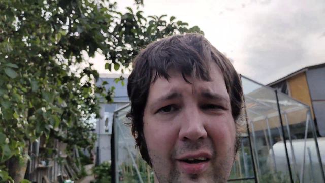 Мой огород. Прекрасный вечер. 4K смотреть онлайн