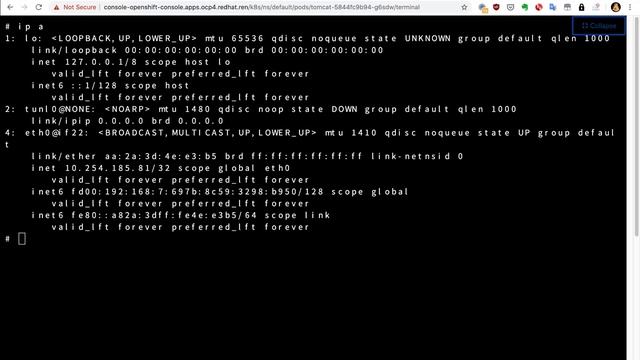 openshift 4 3 calico + ipv4/v6 dual stack смотреть онлайн