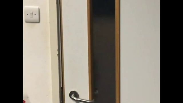 dogme смотреть онлайн