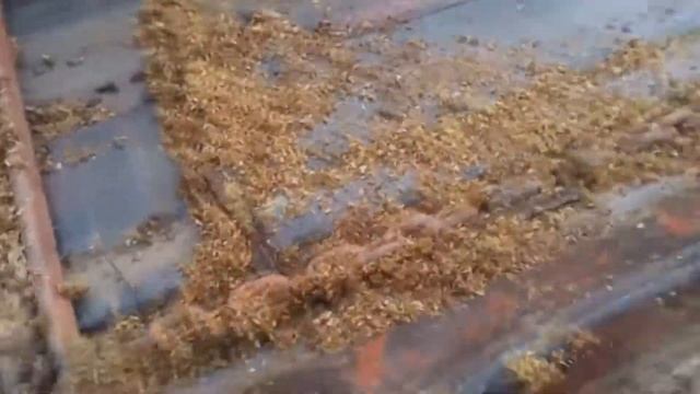 Навозоразбрасыватель ПРТ смотреть онлайн