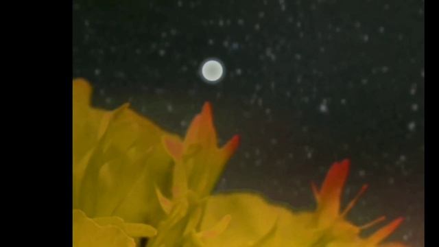 Волшебный цветок смотреть онлайн