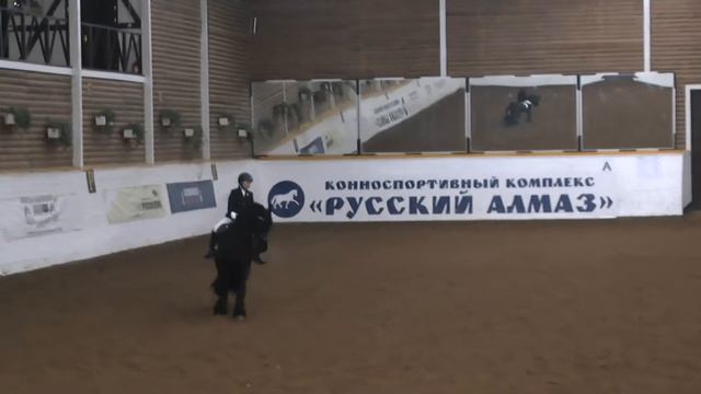 Kamila Baygulova + Jelco Z., КСК "Русский Алмаз", ППД, 30-01-2015, 68,696% смотреть онлайн
