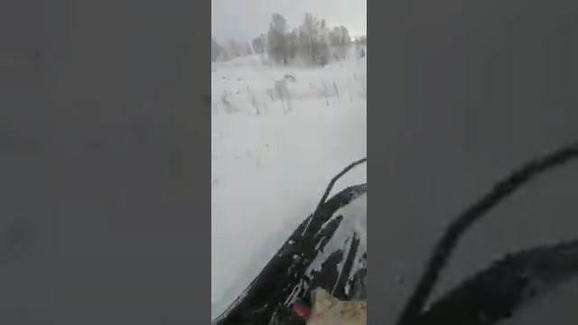 Покатушки Тунгус 600L смотреть онлайн