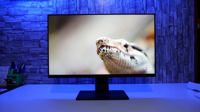 Xiaomi Mi 1A 23” ? ¡El MONITOR con mejor relación CALIDAD/PRECIO! | REVIEW en Español смотреть онлайн