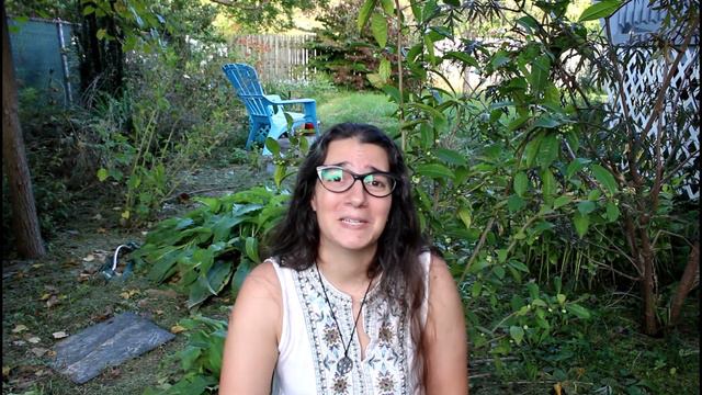 The Magic Of Camellia (Tea Plant)