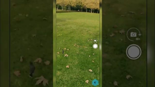 Dinosaurs in Augmented Reality - Monster Park App Review смотреть онлайн