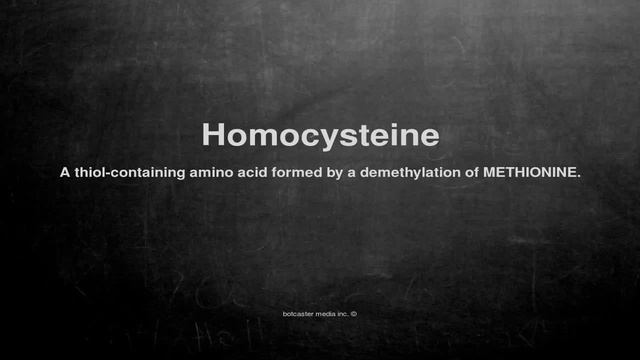 Medical vocabulary: What does Homocysteine mean смотреть онлайн