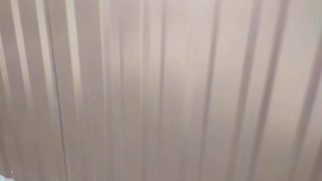 Питомник Гладиатор Азии-кузница чемпионов по тестовым испытаниям волкодавов. смотреть онлайн