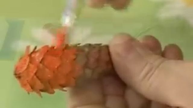 Рукоделие 49. Лисичка из еловых шишек — Шишкина школа смотреть онлайн