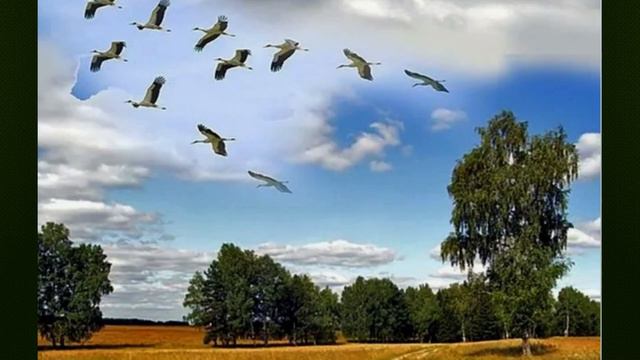 Юрий Нарижний - "Журавлиная песня" смотреть онлайн