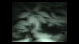 подросток снял на камеру последние минуты своей жизни