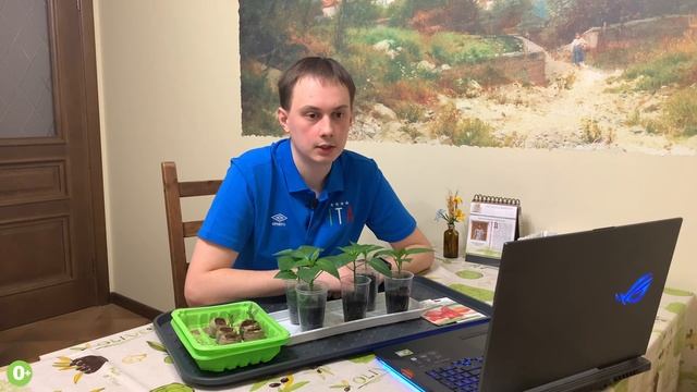 ПЛОХАЯ ВСХОЖЕСТЬ СЕМЯН ПЕРЦА. РАЗБОР ОШИБОК смотреть онлайн