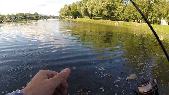 Мормышинг в Царицыно / Мормо шабаш / Злые окуни Московских прудов смотреть онлайн