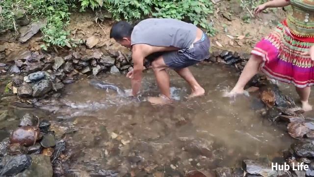 Survival Skills: Found many fish in wild lake and catch all the fish - catch many big fish смотреть онлайн