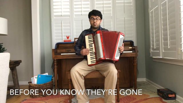 D***IT by Blink 182 - Accordion Cover смотреть онлайн