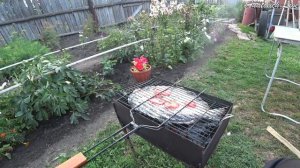САЗАН на МАНГАЛЕ ... Сам поймал, сам приготовил ... Вкуснейшая запеченная рыба! ENG SUB
