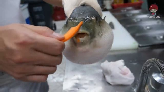Рыба фугу ест морковь смотреть онлайн