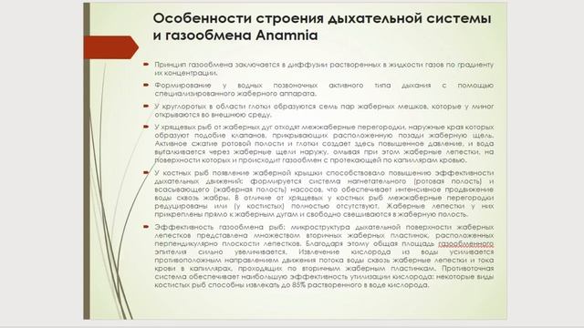 Лекция 21 Анамнии смотреть онлайн