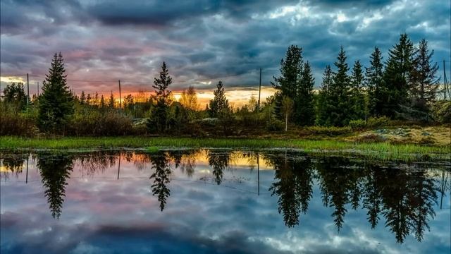 Нарожали детей и заняли общую квартиру, но как мне их теперь выгнать? истории из жизни смотреть онлайн