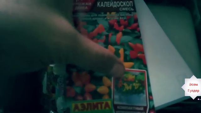 Ащы бұрыш егемін///// смотреть онлайн