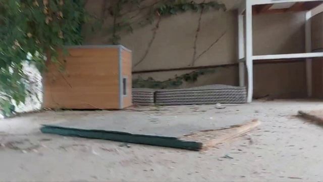 Пристройство, это главное. Благоустраиваем кошек, теперь. смотреть онлайн