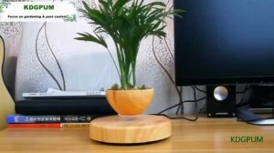 Левитирующий горшок для растений | алиэкспресс для дома