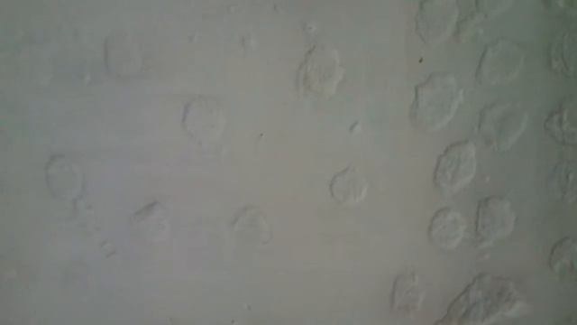 Домоведение