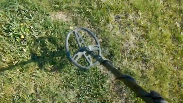 Ведьмины круги? Или что это?