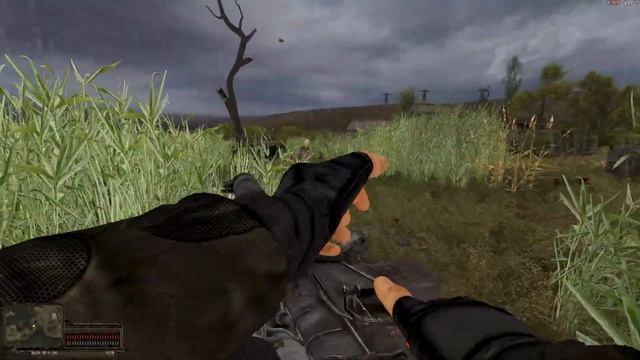 Stalker Narodnaya Solyanka 2016 | Special Controller Brain/Sidorovich has a Brother?! #100 смотреть онлайн