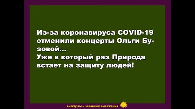 Анекдоты | Юмор | Позитив | 9 смотреть онлайн