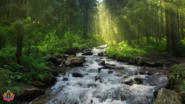 Музыка лечит сердце и сосуды ? Музыка снижает стресс и успокаивает нервную систему #1