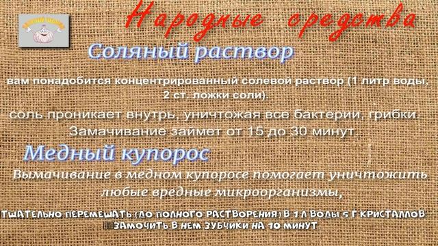 Чем и как обработать чеснок перед посадкой смотреть онлайн