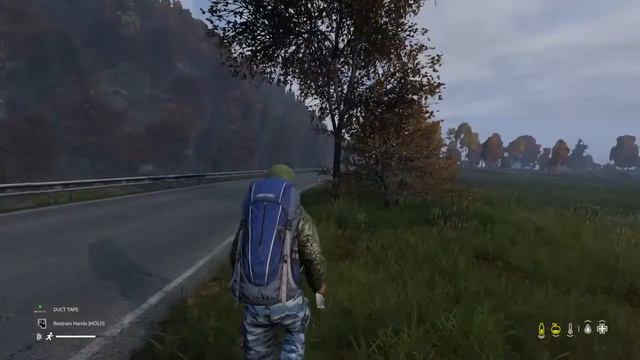 DayZ fresh new day, fresh new blue screen. смотреть онлайн