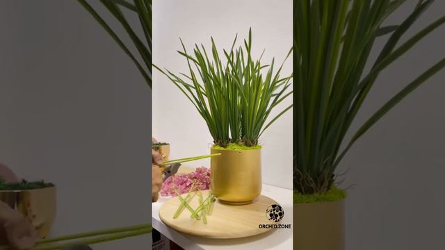 TUTORIAL : DENDROBIUM ORCHID ARRANGEMENT смотреть онлайн