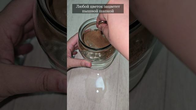 Любой цветок сразу зацветет пышной шапкой #цветы #герань #сад #огород смотреть онлайн