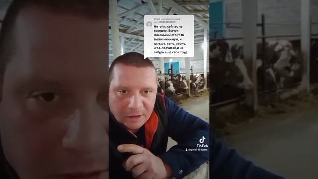 выгодно ли держать крс(жизнь в деревне) смотреть онлайн