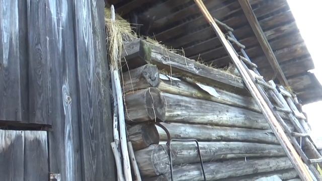 Будни в деревне Копаю траншею, бензопила. смотреть онлайн